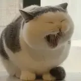 寻迹首义队长王