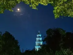 http://oss.cjn.cn/images/20250707/1751894069821ac6c4645-d281-48a0-b405-2afab532db1f.jpg