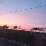 茹茹远道