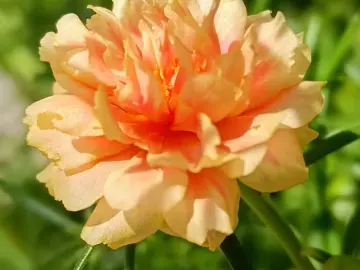 http://oss.cjn.cn/images/20250709/17520133695665628bbd3-d55a-4316-a8b5-4f6c7ecdedea.jpg