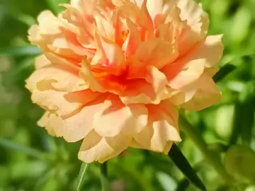 http://oss.cjn.cn/images/20250709/1752013372257c8986c35-55c3-4363-aaa1-ecacea69e68b.jpg