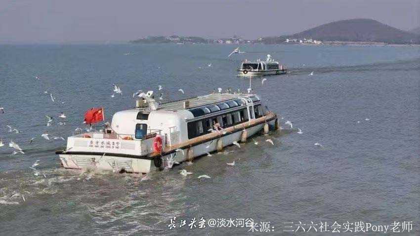 漫山岛自然探险家计划-三六六社会实践探索自然行
