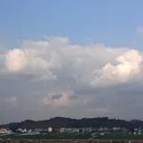 桥南红芯育苗实践团