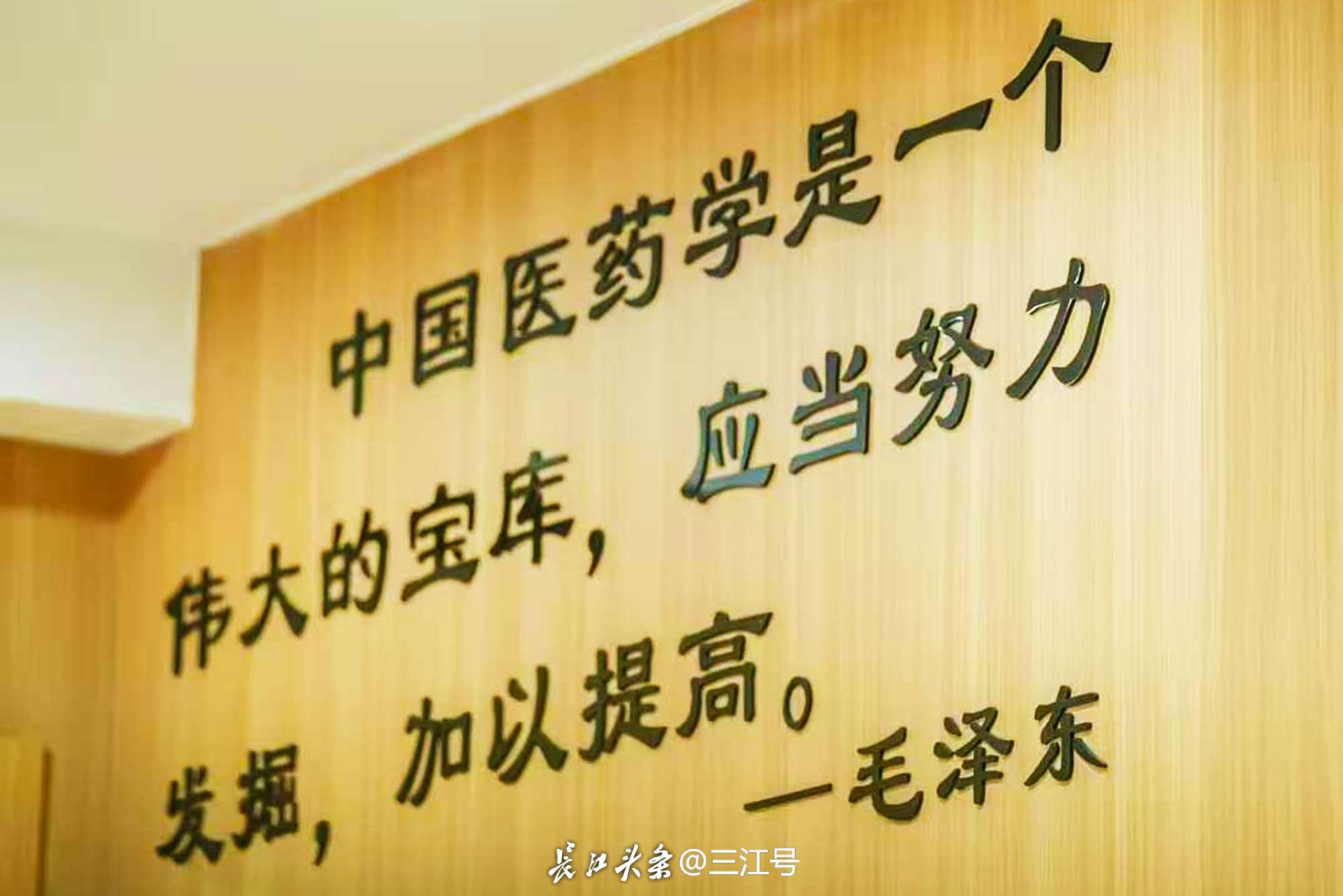 图片005.jpg