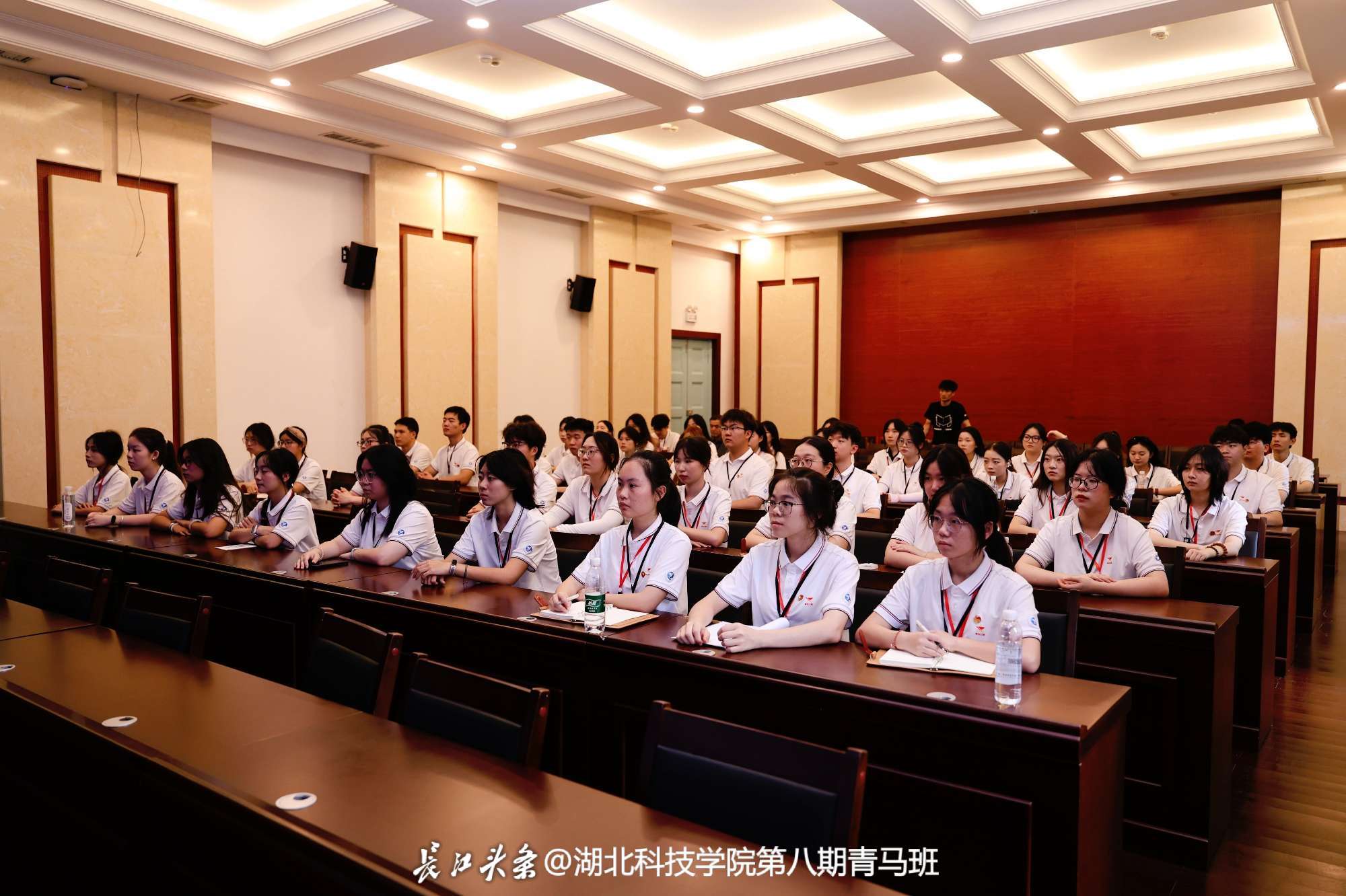 WXD_1550.JPG