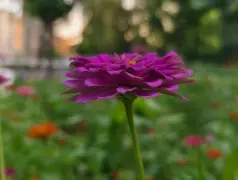 http://oss.cjn.cn/images/20250714/1752468315468b1408749-6092-4f10-9e26-ef47efd68c42.jpg