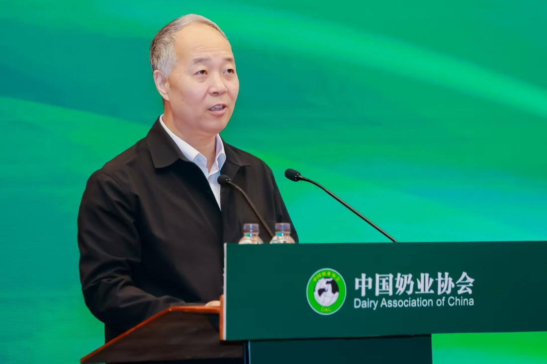 图片8