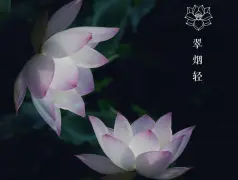 http://oss.cjn.cn/images/20250715/1752548750201abd3f3dd-36b1-4dfb-9881-11cfb1324dce.jpg