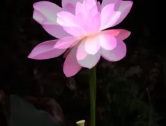 http://oss.cjn.cn/images/20250715/1752548758513cb8917cf-91cf-45de-b955-6d020db5f1ec.jpg