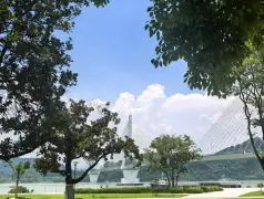 http://oss.cjn.cn/images/20250716/175261776699752cae5ef-0323-47fa-aba8-8fd72cb7957a.jpg