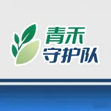 青禾守护队