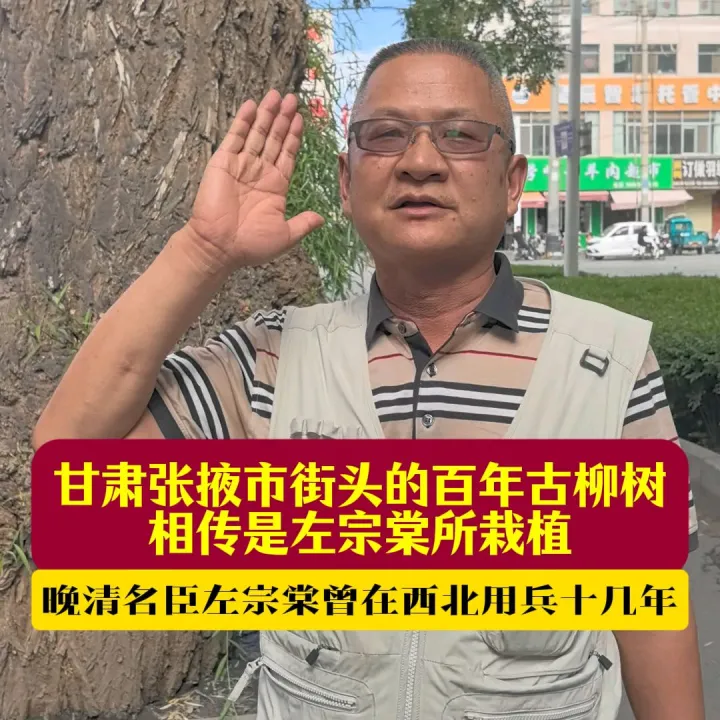 这是我在甘肃张掖市街头拍摄到的百年古柳树，相传是左宗棠所栽植