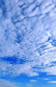 http://oss.cjn.cn/images/20250720/1752966779187b363b465-83bb-4bff-9bca-1a7e7862a55e.jpg