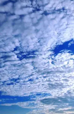 http://oss.cjn.cn/images/20250720/1752966781947a55fe470-9f22-4ca3-8e22-b098d80332b5.jpg