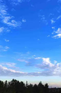 http://oss.cjn.cn/images/20250720/175296678635661968b33-1369-4921-83da-febd03aec567.jpg