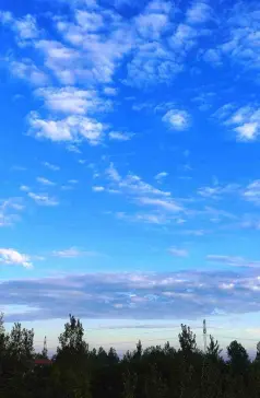 http://oss.cjn.cn/images/20250720/17529667907040e372b7e-ff18-499a-b4f8-0d54ada0813a.jpg