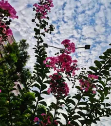 http://oss.cjn.cn/images/20250720/1753011102060d1688dc0-5fa8-4c73-960f-71e73d7863bf.jpg