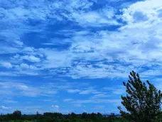 http://oss.cjn.cn/images/20250723/175323892431833428fb9-8fce-4d56-839d-0c3fa5fac68a.jpg
