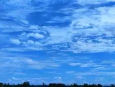 http://oss.cjn.cn/images/20250723/1753238930502a917cc2b-0184-4bc9-a73d-f9420b3011f0.jpg