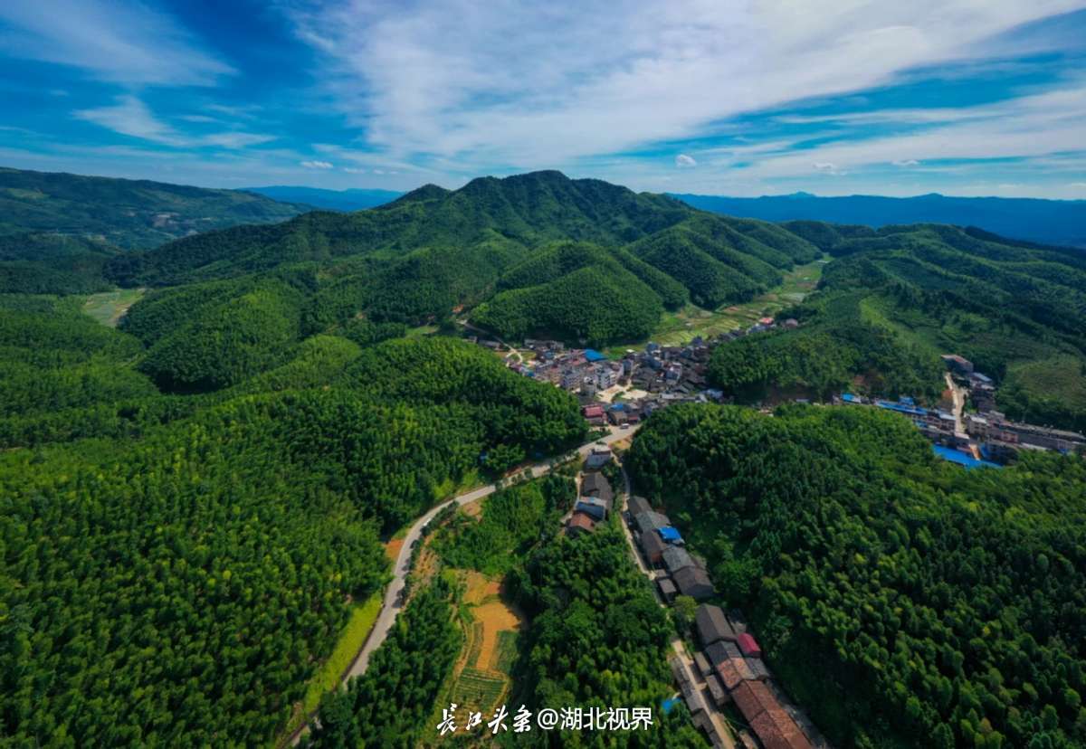 爱心无界 | 聚力助残共享绿色未来