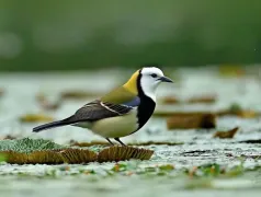 http://oss.cjn.cn/images/20250724/1753358335059655e3134-471d-4878-b570-bbc59c893c8a.jpg