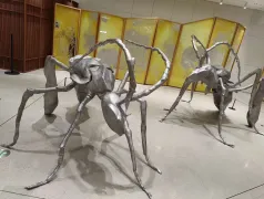 http://oss.cjn.cn/images/20250725/1753395050204188e3ca2-851f-4538-b9f6-617dda502241.jpg