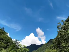 http://oss.cjn.cn/images/20250726/1753483760382221d7742-c3aa-405a-a2b4-88ccda6b1a6a.jpg