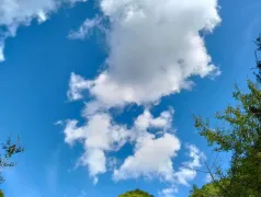 http://oss.cjn.cn/images/20250726/1753483761597bf6dc79d-038e-4258-8e09-c743631c27b3.jpg
