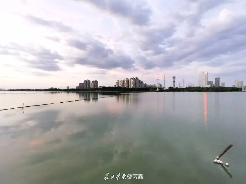 发布了一篇微头条