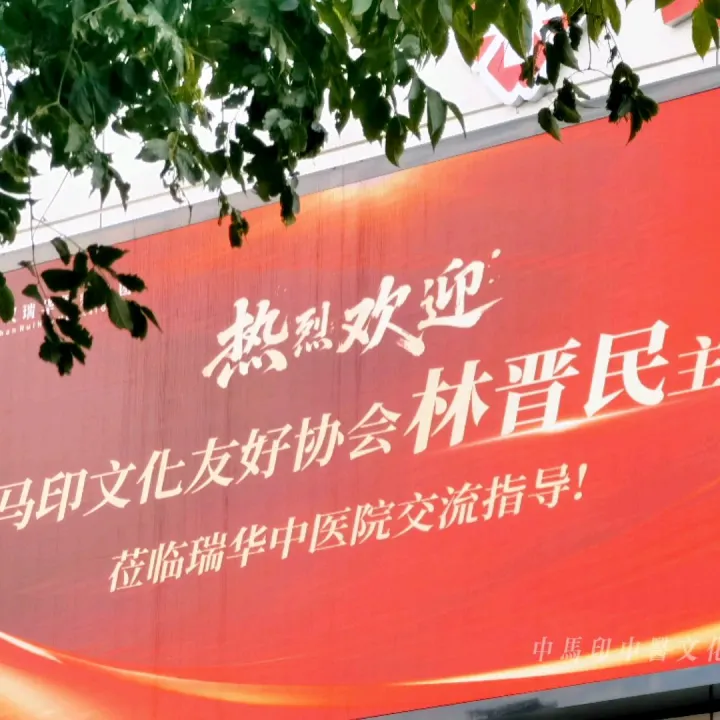 国际环保和平艺术节拥抱传统中医文化——中国马丽歌友会携马印国际友人参访武汉瑞华中医医院