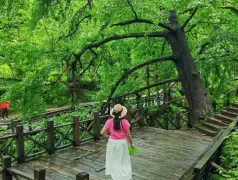 http://oss.cjn.cn/images/20250727/1753602038626f6f0b049-a03d-44fe-921d-23239446c4f3.jpg