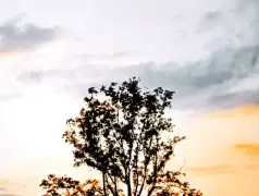 http://oss.cjn.cn/images/20250729/1753771007472a448cbb7-c64e-4420-9950-c4fc9b2bd1a5.jpg