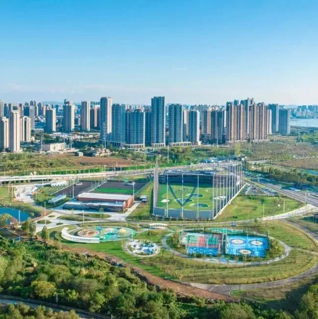 两“链主”企业织就千亿经济带，龙阳湖畔：万余民企环湖生长