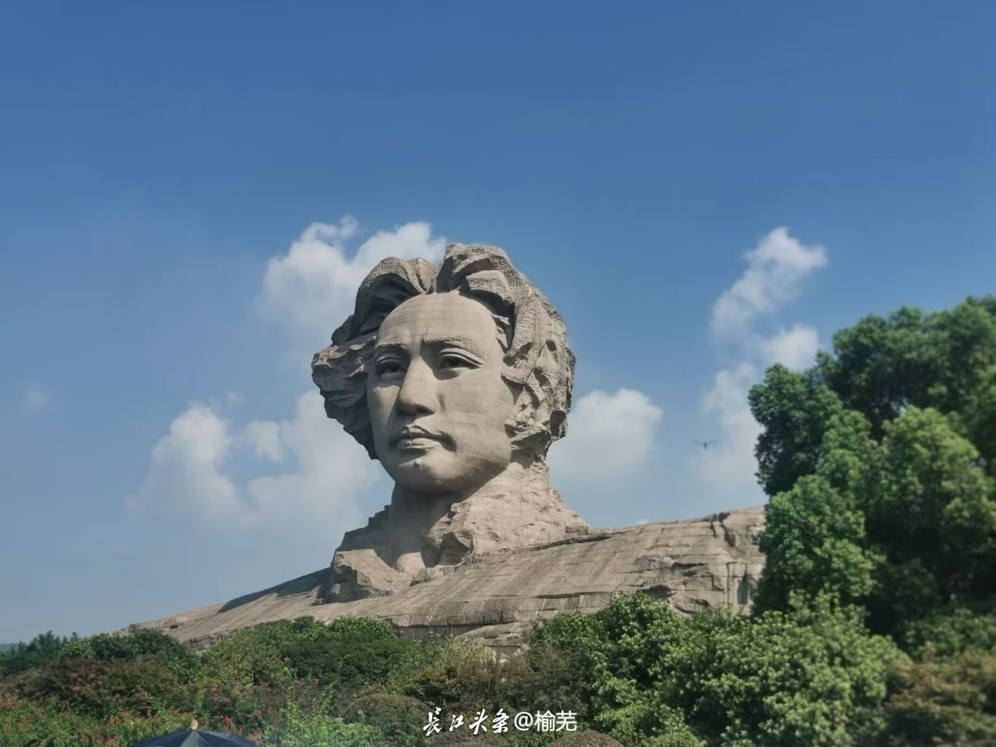 IMG_1707.png