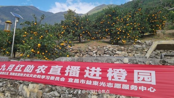 21091554495345629_5.jpg 21091554495345629_5.jpg