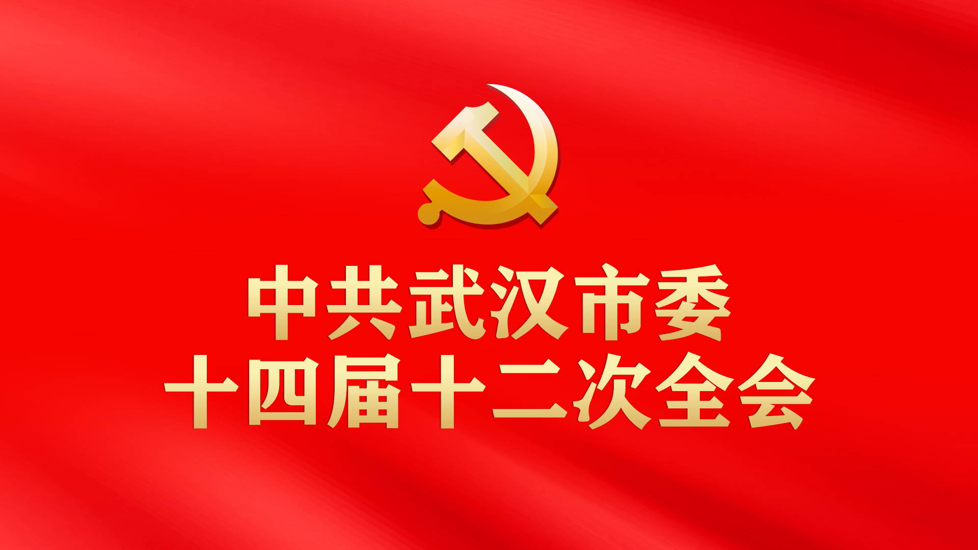 中共武汉市委十四届十二次全会