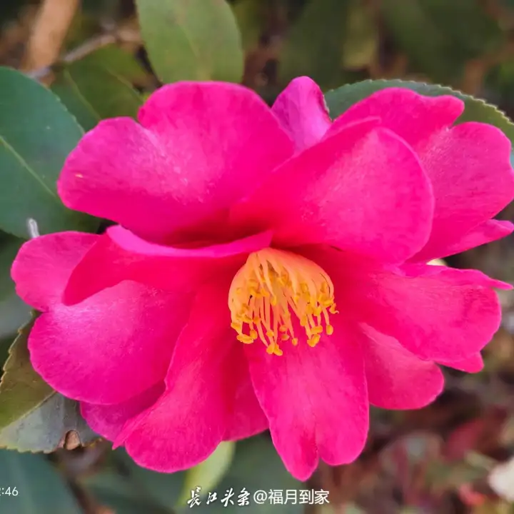 自我肯定语感恩祝福练习
1. 我足够优秀，也值得被好好对待。
​2. 今天的我在认真生活，每一步都算数。
​3. 我接纳自己的不完美，这也是我的一部分。
​4. 我有能力面对生活里的难题，不用害怕。
