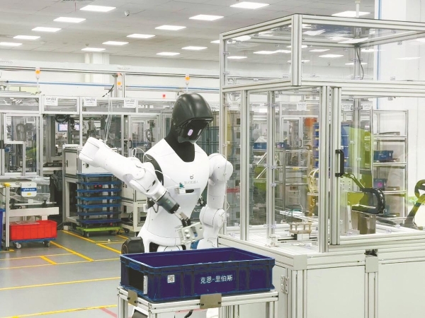 5fddef98d-9b21-40eb-8fce-c496638bfd36.jpg 5fddef98d-9b21-40eb-8fce-c496638bfd36.jpg