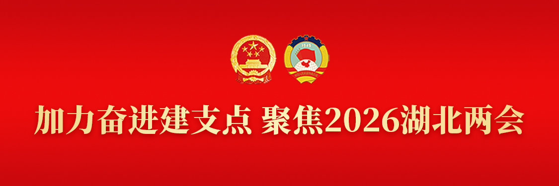 加力奋进建支点 聚焦2026湖北两会