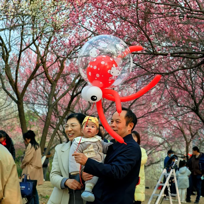 @全国网友，跟着“长江头条”在武汉过大年、赏春梅