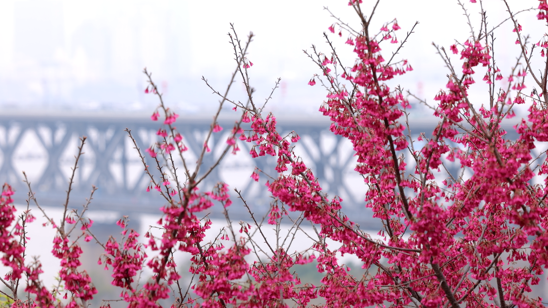 微信图片_20260303143107_149_240