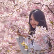 相约长江新区 共赴春日之约