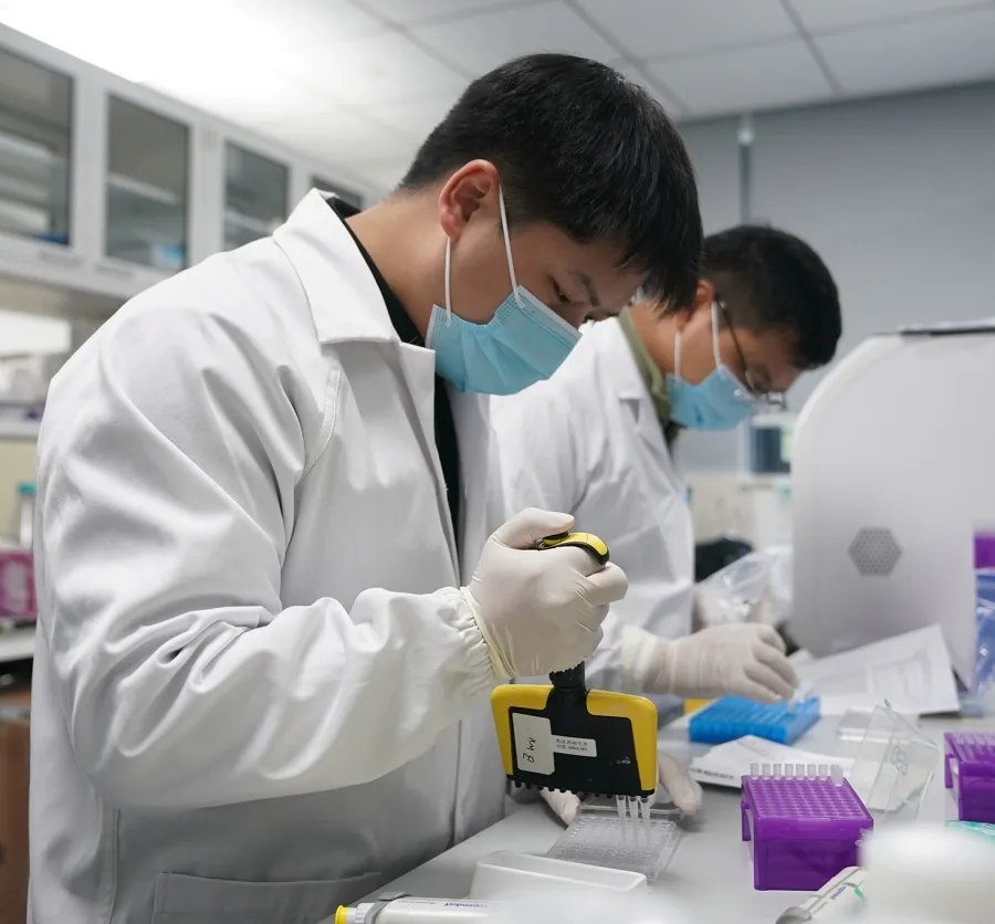 税收数据显示：前两个月我国科技创新保持良好发展势头