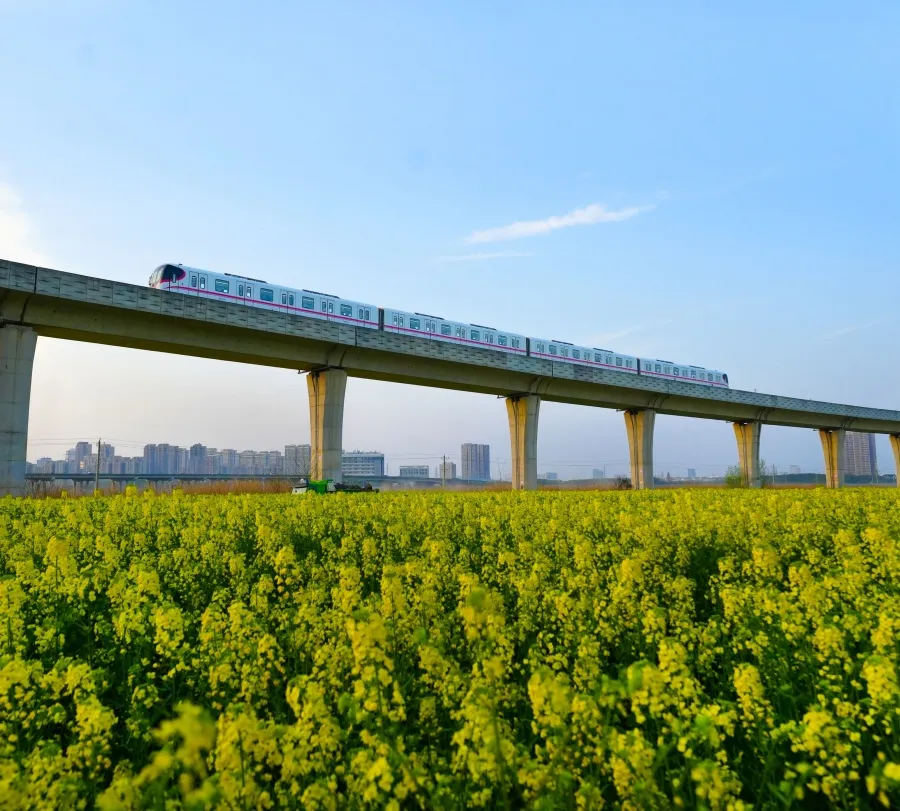 “最美观江地铁”驶入春日画卷