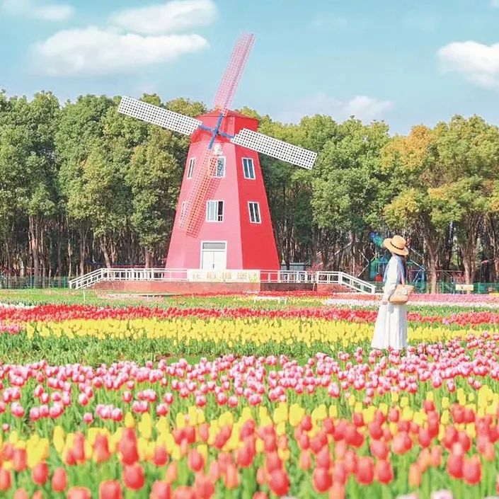 湖北“相约春天赏樱花”系列活动周末开启，400场赏花游活动贯穿春日