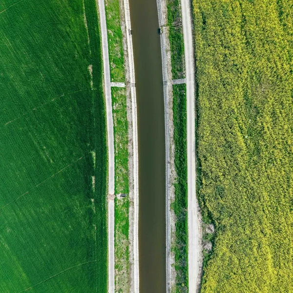 沉睡土地盘活了，武荆高速旁数百亩油菜花吸引市民“采春”