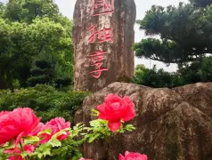 http://oss.cjn.cn/images/20260407/1775554393045ea2fb50c-19a5-4944-bbf1-9ddc9d20bf2a.jpg