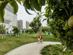 http://oss.cjn.cn/images/20260408/1775612612982b3dffa36-c18b-4ca1-aa04-cd09a9596245.jpg