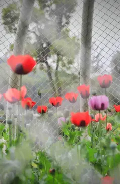 http://oss.cjn.cn/images/20260408/1775616504830cd616f25-d83f-438d-8cc6-730a3db1c31e.jpg