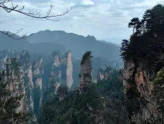 http://oss.cjn.cn/images/20260410/17757994103263b367c56-91b7-448d-9e0a-657d823b6abe.jpg